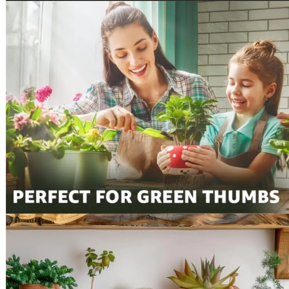 Shumiez Mushroom Planter, NIB 🍄 🌱 - Picture 11 of 16